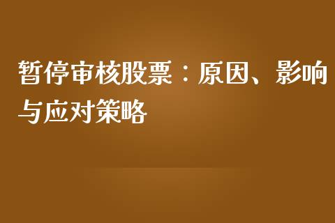 暂停审核股票：原因、影响与应对策略_https://cj002.lansai.wang_理财问答_第1张