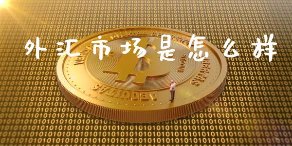 外汇市场是怎么样_https://cj002.lansai.wang_财经问答_第1张