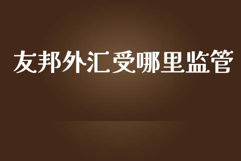 友邦外汇受哪里监管_https://cj002.lansai.wang_财经问答_第1张