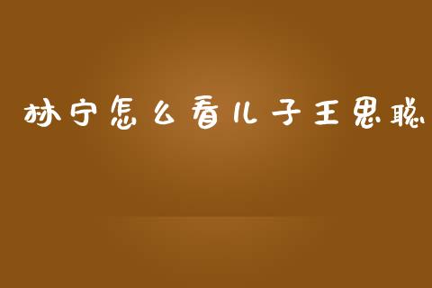 林宁怎么看儿子王思聪_https://cj002.lansai.wang_金融问答_第1张