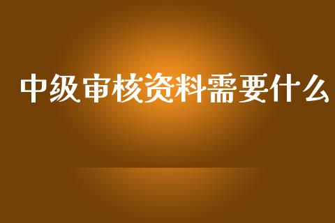 中级审核资料需要什么_https://cj002.lansai.wang_会计问答_第1张