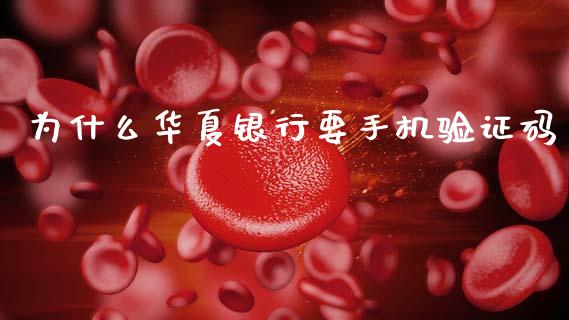 为什么华夏银行要手机验证码_https://cj002.lansai.wang_金融问答_第1张