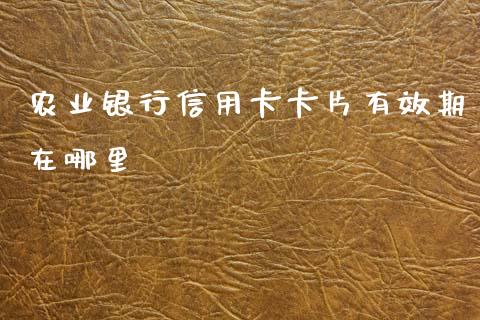 农业银行信用卡卡片有效期在哪里_https://cj002.lansai.wang_股市问答_第1张