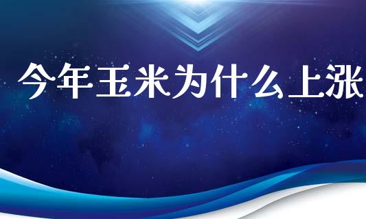 今年玉米为什么上涨_https://cj002.lansai.wang_期货问答_第1张