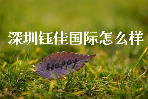 深圳钰佳国际怎么样_https://cj002.lansai.wang_财经问答_第1张