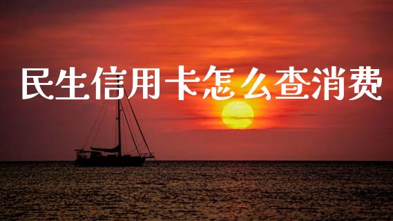 民生信用卡怎么查消费_https://cj002.lansai.wang_金融问答_第1张