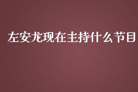 左安龙现在主持什么节目_https://cj002.lansai.wang_财经百问_第1张