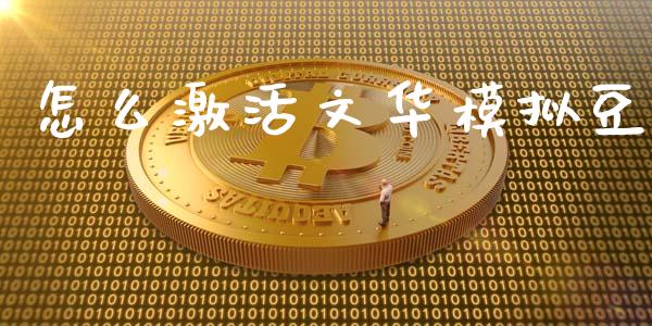 怎么激活文华模拟豆_https://cj002.lansai.wang_财经百问_第1张
