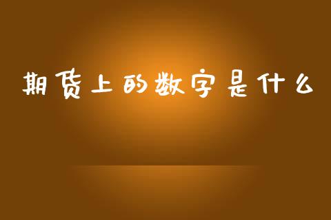 期货上的数字是什么_https://cj002.lansai.wang_会计问答_第1张