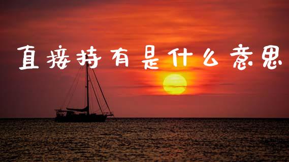 直接持有是什么意思_https://cj002.lansai.wang_会计问答_第1张