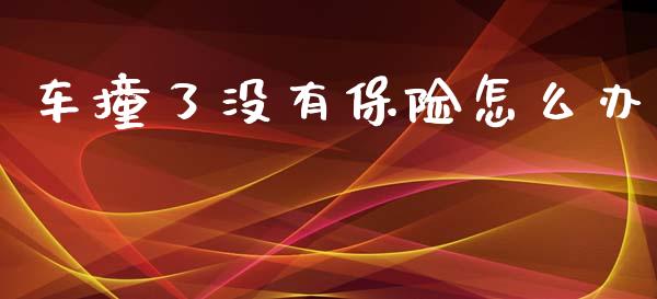 车撞了没有保险怎么办_https://cj002.lansai.wang_保险问答_第1张