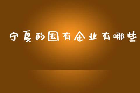 宁夏的国有企业有哪些_https://cj002.lansai.wang_金融问答_第1张