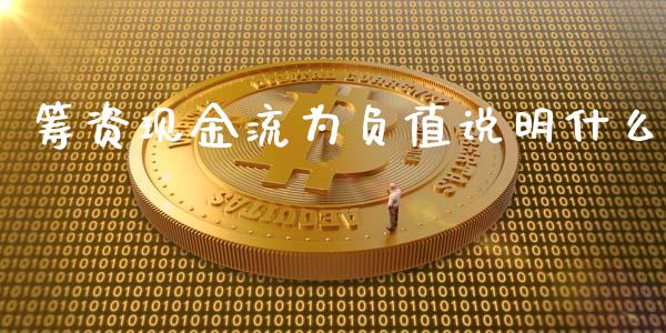 筹资现金流为负值说明什么_https://cj002.lansai.wang_会计问答_第1张