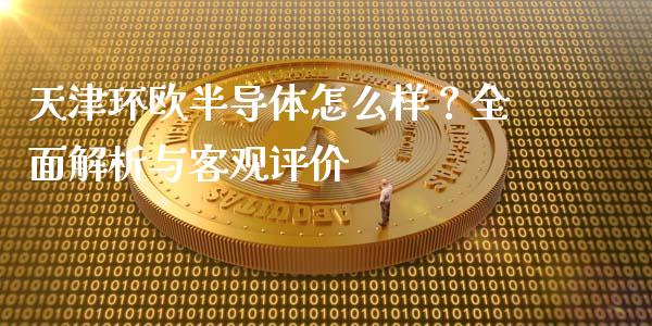 天津环欧半导体怎么样？全面解析与客观评价_https://cj002.lansai.wang_财经百问_第1张