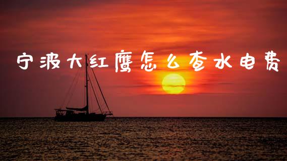 宁波大红鹰怎么查水电费_https://cj002.lansai.wang_金融问答_第1张
