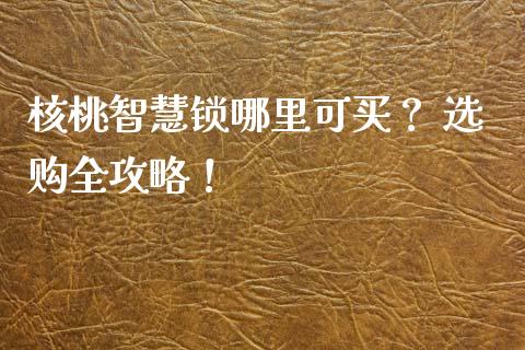 核桃智慧锁哪里可买? 选购全攻略!_保险问答_第1张_财经百问网 核桃智慧锁哪里可买? 选购全攻略!_https://cj002.lansai.wang_保险问答_第1张