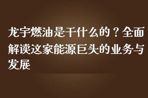 龙宇燃油是干什么的？全面解读这家能源巨头的业务与发展_https://cj002.lansai.wang_期货问答_第1张