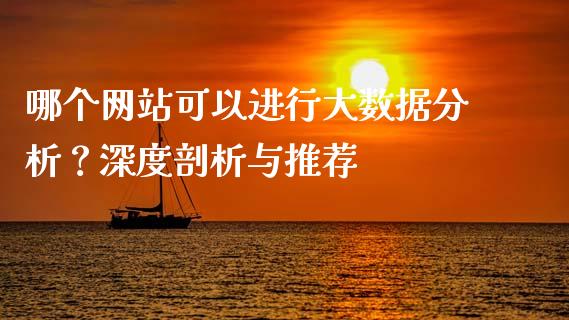 哪个网站可以进行大数据分析？深度剖析与推荐_https://cj002.lansai.wang_期货问答_第1张