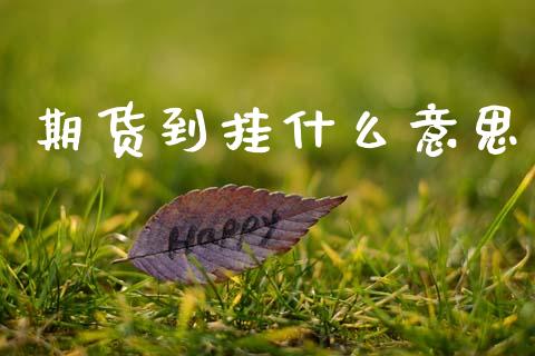 期货到挂什么意思_保险问答_第1张_财经百问网 期货到挂什么意思_https://cj002.lansai.wang_保险问答_第1张