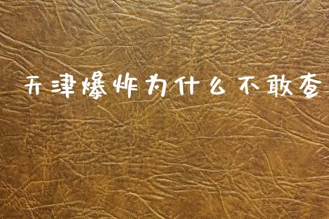 天津爆炸为什么不敢查_https://cj002.lansai.wang_理财问答_第1张