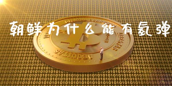 朝鲜为什么能有氢弹_https://cj002.lansai.wang_股市问答_第1张