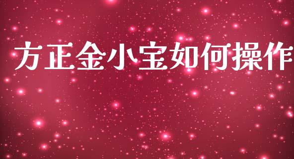 方正金小宝如何操作_https://cj002.lansai.wang_财经百问_第1张