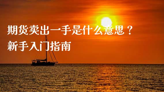 期货卖出一手是什么意思？新手入门指南_https://cj002.lansai.wang_保险问答_第1张