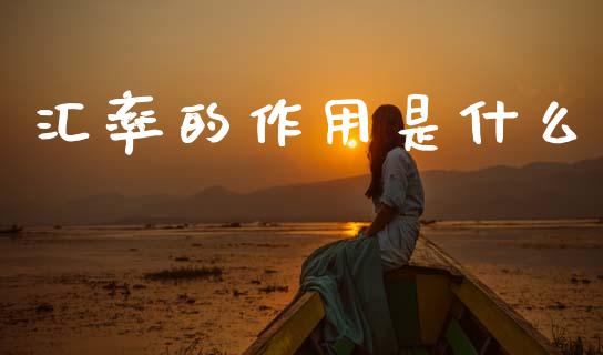 汇率的作用是什么_https://cj002.lansai.wang_财经问答_第1张
