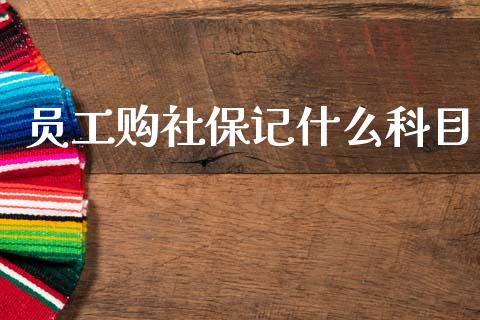 员工购社保记什么科目_https://cj002.lansai.wang_会计问答_第1张