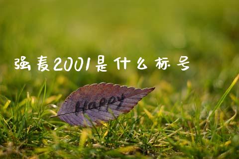 强麦2001是什么标号_https://cj002.lansai.wang_财经问答_第1张
