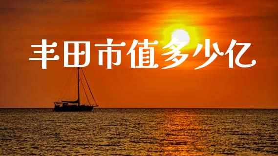 丰田市值多少亿_https://cj002.lansai.wang_金融问答_第1张