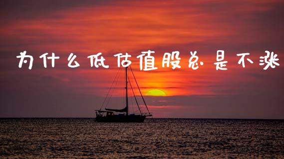 为什么低估值股总是不涨_https://cj002.lansai.wang_股市问答_第1张