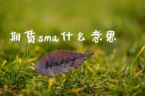期货sma什么意思_https://cj002.lansai.wang_期货问答_第1张