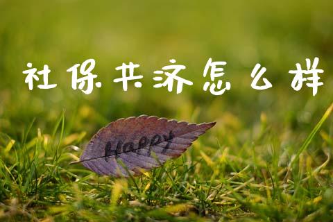 社保共济怎么样_https://cj002.lansai.wang_保险问答_第1张