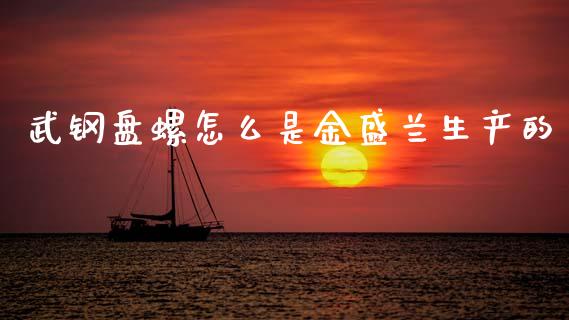 武钢盘螺怎么是金盛兰生产的_https://cj002.lansai.wang_财经问答_第1张