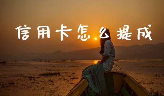 信用卡怎么提成_https://cj002.lansai.wang_金融问答_第1张