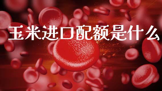 玉米进口配额是什么_https://cj002.lansai.wang_期货问答_第1张