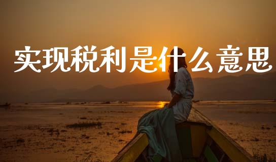 实现税利是什么意思_https://cj002.lansai.wang_金融问答_第1张