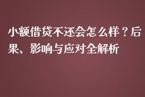 小额借贷不还会怎么样？后果、影响与应对全解析_https://cj002.lansai.wang_保险问答_第1张