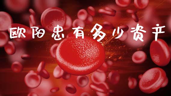 欧阳忠有多少资产_https://cj002.lansai.wang_理财问答_第1张