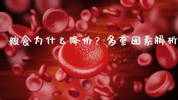 粮食为什么降价？多重因素解析_https://cj002.lansai.wang_财经百问_第1张