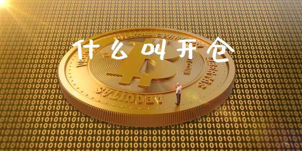 什么叫开仓_会计问答_第1张_财经百问网 什么叫开仓_https://cj002.lansai.wang_会计问答_第1张