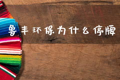 鲁丰环保为什么停牌_https://cj002.lansai.wang_会计问答_第1张