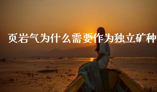 页岩气为什么需要作为独立矿种_https://cj002.lansai.wang_理财问答_第1张