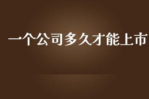 一个公司多久才能上市_https://cj002.lansai.wang_股市问答_第1张