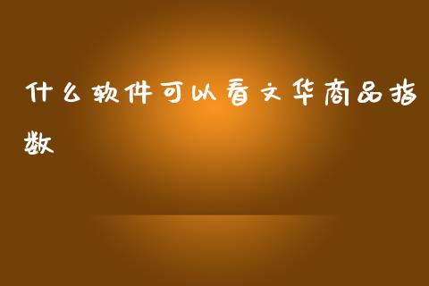 什么软件可以看文华商品指数_https://cj002.lansai.wang_会计问答_第1张