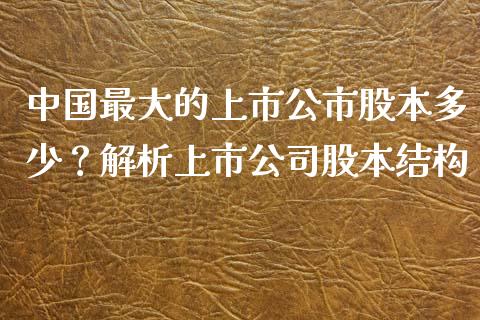中国最大的上市公市股本多少？解析上市公司股本结构_https://cj002.lansai.wang_财经百问_第1张