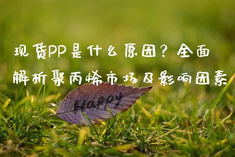 现货PP是什么原因？全面解析聚丙烯市场及影响因素_https://cj002.lansai.wang_期货问答_第1张