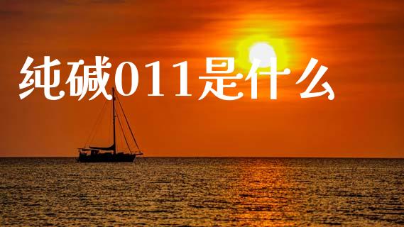 纯碱011是什么_https://cj002.lansai.wang_期货问答_第1张