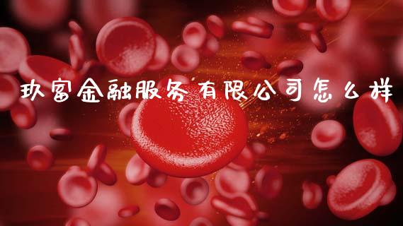 玖富金融服务有限公司怎么样_https://cj002.lansai.wang_股市问答_第1张